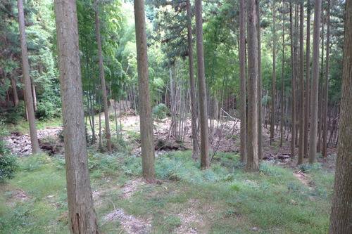 P1250937