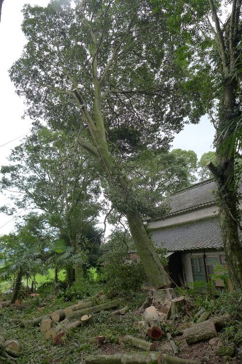 P1160851
