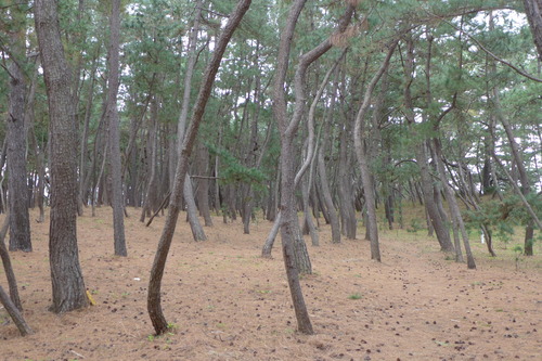 P1070035