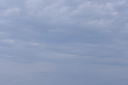 P1560707