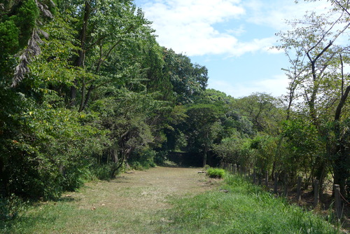 P1170837
