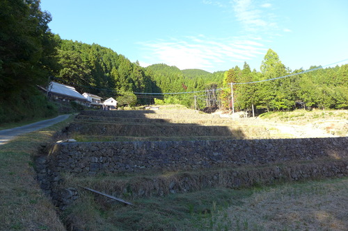P1260163