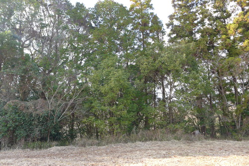 P1060582