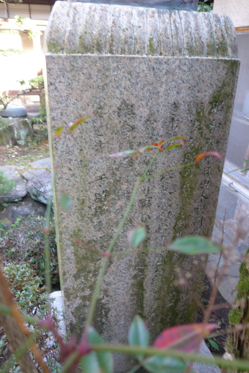 P1150106