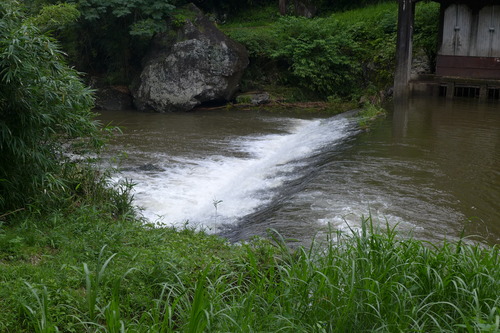 P1300353