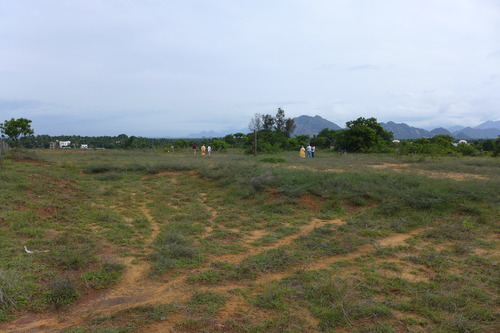 P1190954