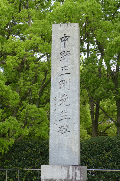 P1110078