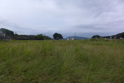 P1230720