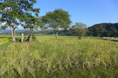 P1180531