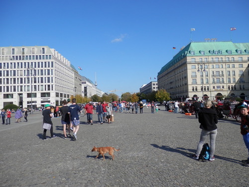 P9030096