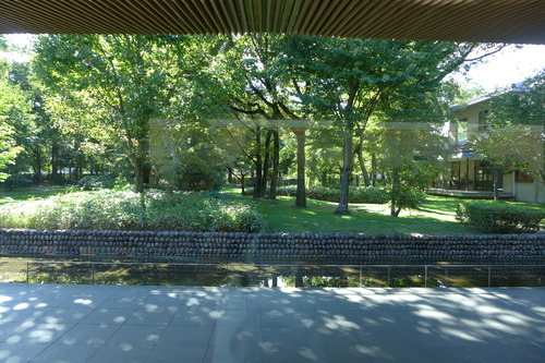 P1160501