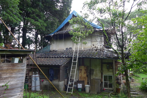 P1140217