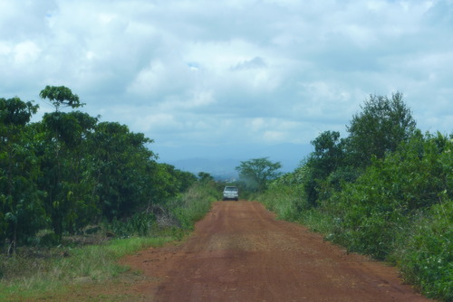 P1050616