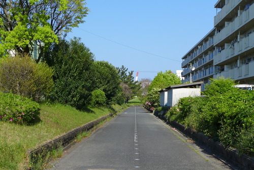 P1040890