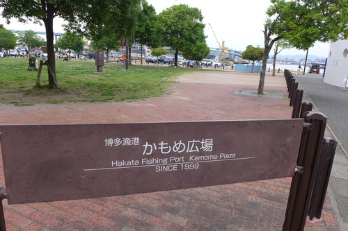 P1140639