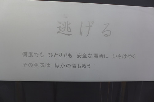P1070244