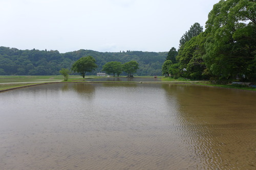 P1100842