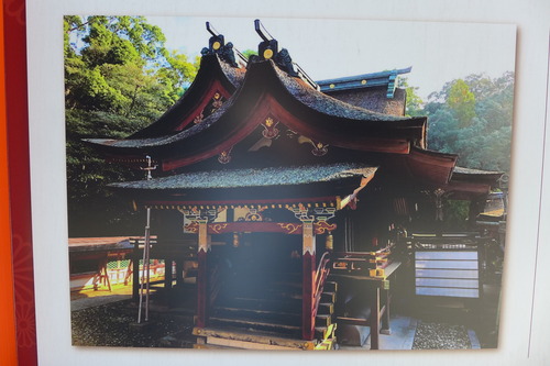 P1070446