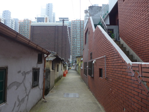 P1550312