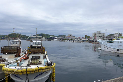 P1130589