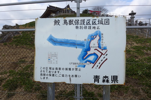P1100394