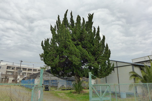 P1160858