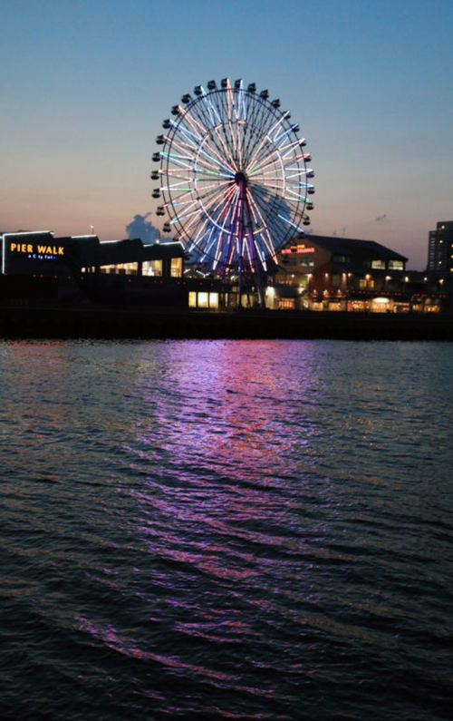 スクリーンショット 2024-09-09 17.52.49