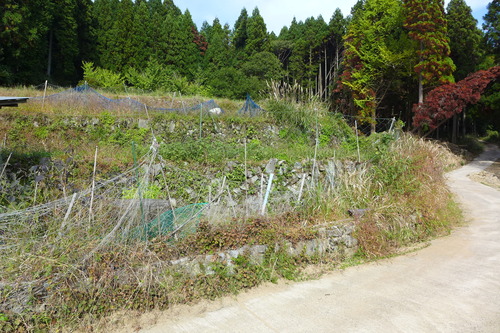 P1250887
