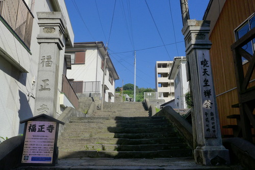 P1540128