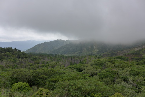 P1150138