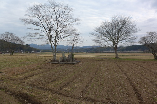 P1040222