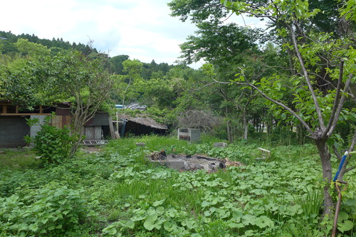 P1120905