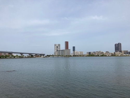 20260421香椎浜にて不思議な漂流物と邂逅！