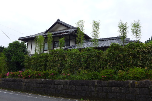 P1130559