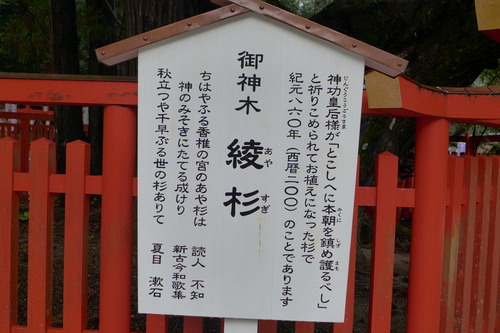 P1070330