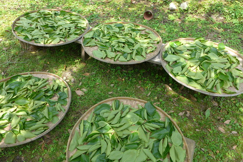 P1100793
