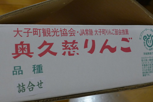P1050354