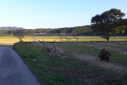 P1280016