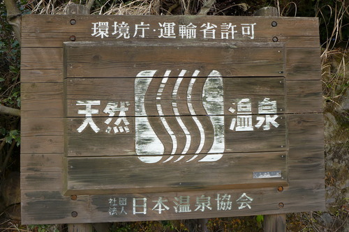 P1550339