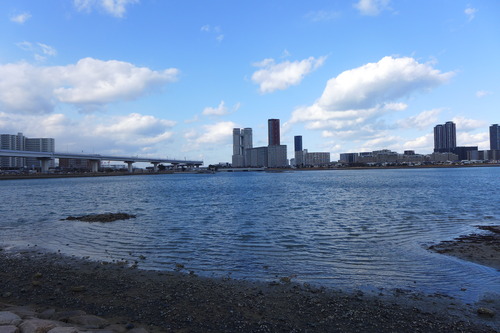 20250108香椎浜、冷たい北風、見上げれば鳶、浜辺には息絶えた蟹、冬の出来事が迫り来る
