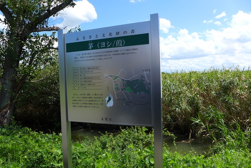 P1080971