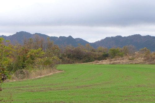 P1400089