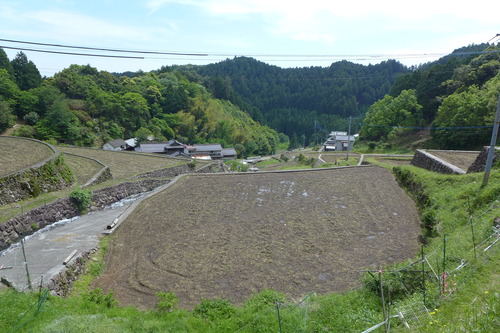 P1110231