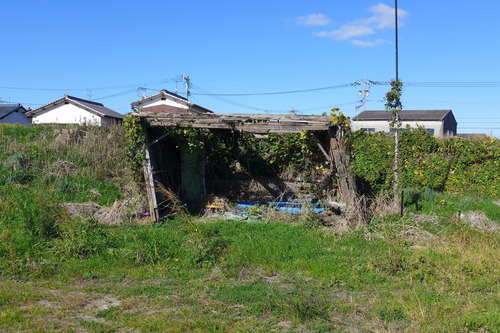 P1050508