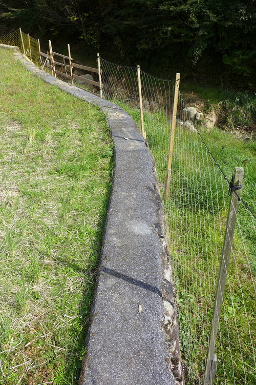 P1250790