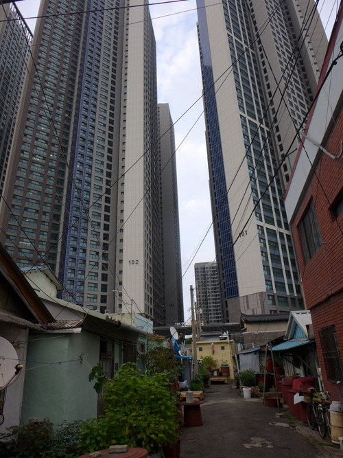 P1550317