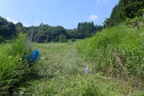 P1280323