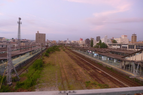 P1540875