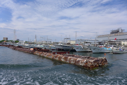P1560694