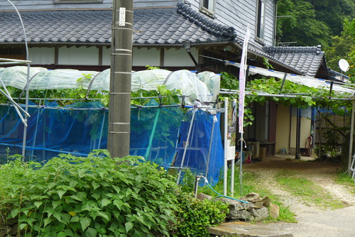 P1020667